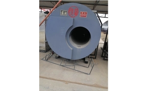 生物質環(huán)保氣化爐