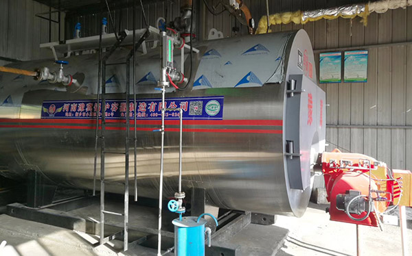 工業(yè)燃?xì)忮仩t 工業(yè)燃?xì)忮仩t