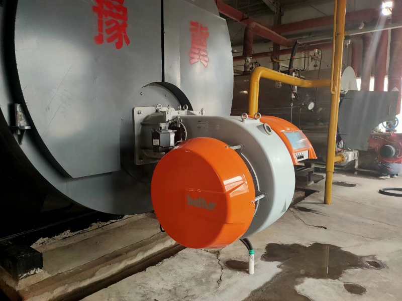 十噸燃?xì)忮仩t 十噸燃?xì)忮仩t